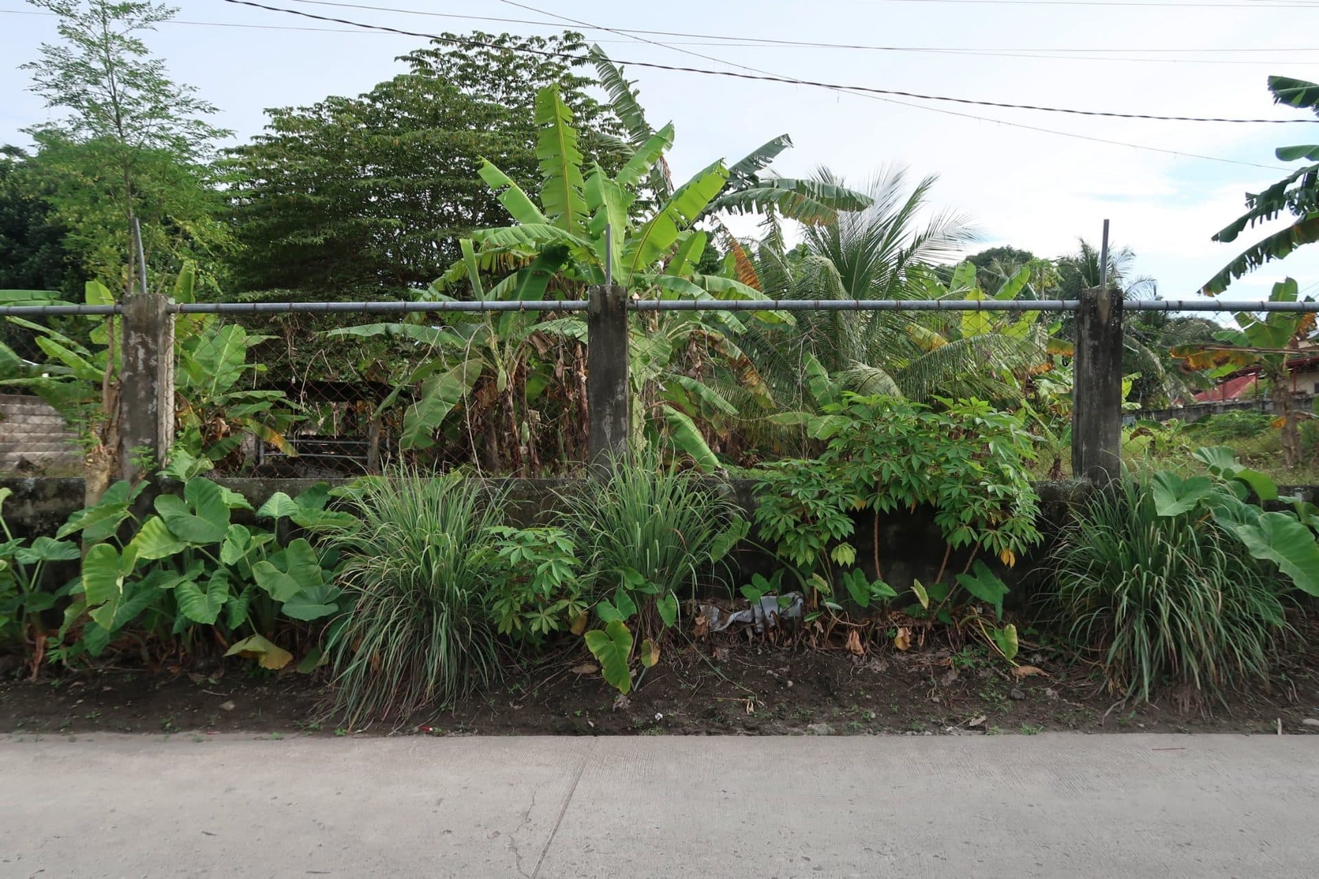 Lot for Sale in Bacong, Negros Oriental